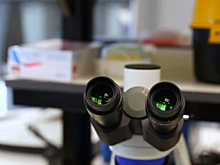 Расходы США на биолаборатории в Армении говорят об их двойном назначении