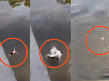 Невеста сняла на видео смерть жениха, который прыгнул с моста в воду