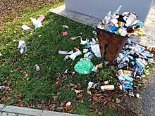 Курян за полгода оштрафовали на 510 тыс.рублей за свалки