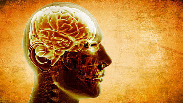 Ученые обнаружили новый вид памяти в мозге человека