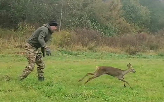 Охотоведы спасли косулю, провалившуюся в колодец