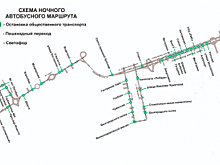 Стало известно, по какому маршруту будет ездить ночной автобус в Белгороде