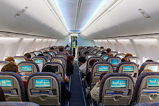 Пассажир самолета потрогал рядом сидевшую женщину за грудь и пошел под суд