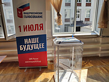 Лилия Шевцова: "Государство - это я!"