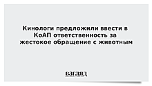 Кинологи предложили поправки в КоАП за жестокое обращение с животными