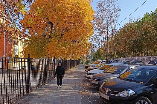 Петербургские власти увеличат максимальный тариф на платную парковку