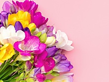 Останемся без цветов?