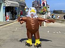 Популярная закусочная наняла «отпугивателя чаек» в костюме орла