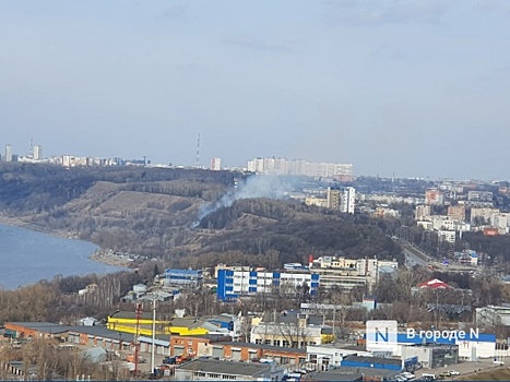 Пожар в парке «Швейцария» в Нижнем Новгороде ликвидирован