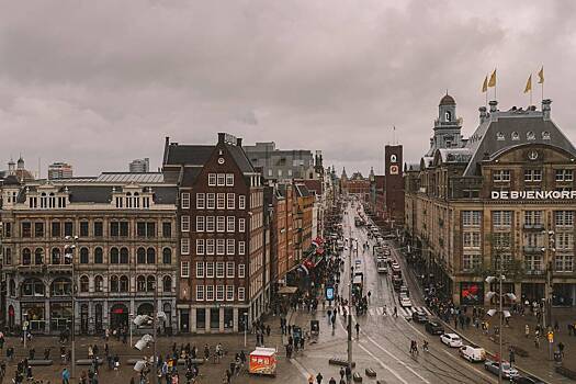Климатические активисты перекрыли трассу в Амстердаме