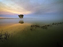 В Астраханской области резко вырос поток туристов