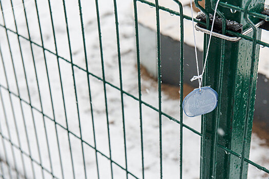 Светоотражатель: талисман на дорогах