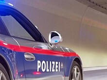 Около 50 человек турецкого происхождения напали на церковь в Вене