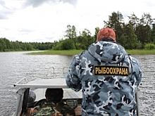 В Дагестане морские браконьеры по-крупному ловили рыбу