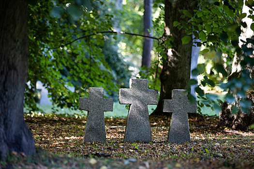 Как долго можно хранить тело в морге бесплатно