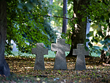 Как долго можно хранить тело в морге бесплатно