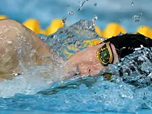 World Aquatics сделала бесплатным нейтральный статус для россиян