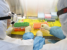 В Челябинской области прокомментировали ситуацию с COVID-19