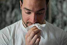 Аллергикам подсказали способы уменьшить интенсивность реакции на пыльцу