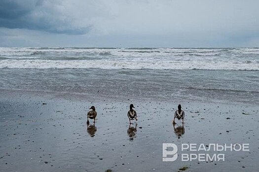 В Керченском проливе собрали более 90% разлившегося мазута после аварии