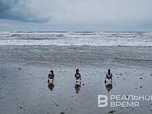 В Керченском проливе собрали более 90% разлившегося мазута после аварии