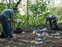 В Минприроды назвали регионы-лидеры федпроекта "Чистая страна"