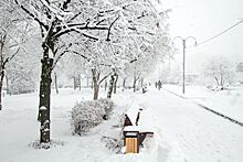 RT: в Москве снег будет идти до 12 декабря непрерывно
