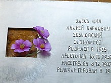 Кто превращает палачей в жертв?