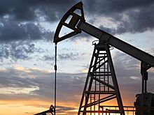 Цены на нефть могут упасть в ближайшие месяцы – эксперт