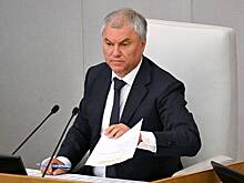 Володин предложил не распространять мораторий на проверки точек продаж вейпов