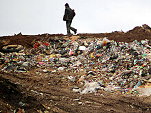 Борьбу со стихийными свалками усилили в Беларуси