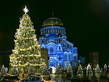 Петербургская новогодняя ель признана лучшей в стране