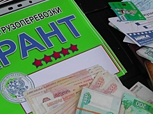 Осуждены четверо воронежцев, заработавших на грузовиках с табличками «Гарант» 7,3 млн рублей