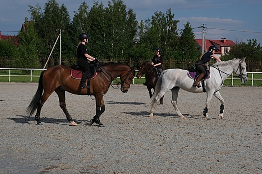 Будапешт и Лазейка пришли учиться