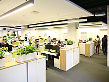 Компании не готовы переводить сотрудников на «удаленку»