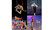 Вологодские циркачи стали лауреатами всероссийского фестиваля