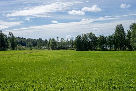 Финляндия заплатит по €750 землевладельцам за укрепления около РФ
