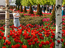 Ученый Семенов спрогнозировал теплую весну в 2026 году