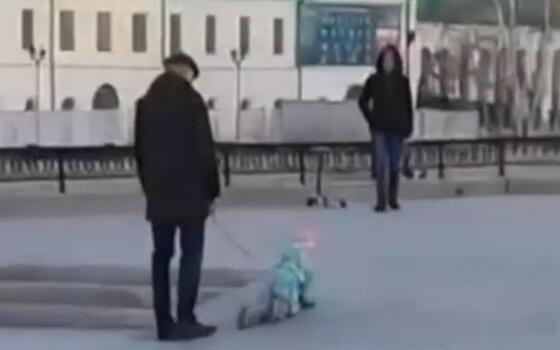 В центре Екатеринбурга заметили ребёнка на поводке у мужчины