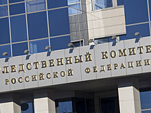 СКР опроверг сообщения о детях с вырезанными почками в Ростовской области