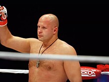 Федор Емельяненко завершил карьеру после технического нокаута