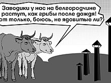 Как открыть 500 производств в белгородских селах за три года
