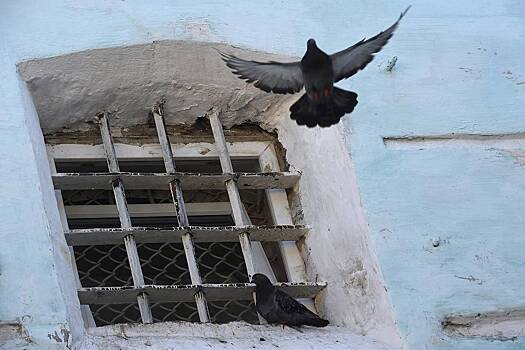 Раскрыто местонахождение пережившего в СИЗО инсульт вора в законе Васи Бандита