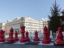 Волгоградская пенсионерка закрасила шахматную доску в знак протеста