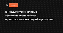 В Госдуме усомнились в эффективности работы орнитологических служб аэропортов