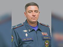 Хинштейн заявил о проверке пожелавшего онкологии сотруднику генерала МЧС