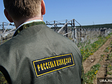 В Челябинскую область завезли 60 тонн заменителя молока, опасного для пищи