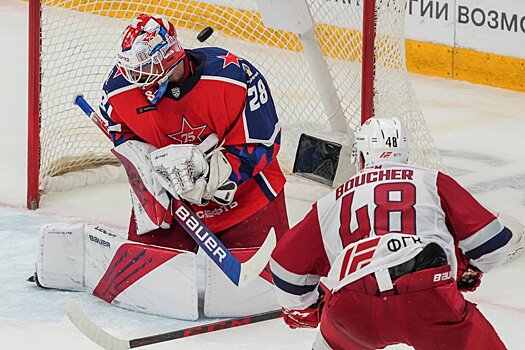 Юрист объяснил, сможет ли получивший год тюрьмы условно Буше продолжить карьеру в России