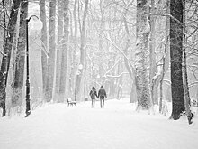 Рост опасности: В Новосибирске удвоилось количество пострадавших от гололеда