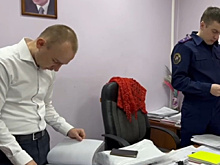 Против и.о. замглавы Благовещенского округа возбудили уголовное дело